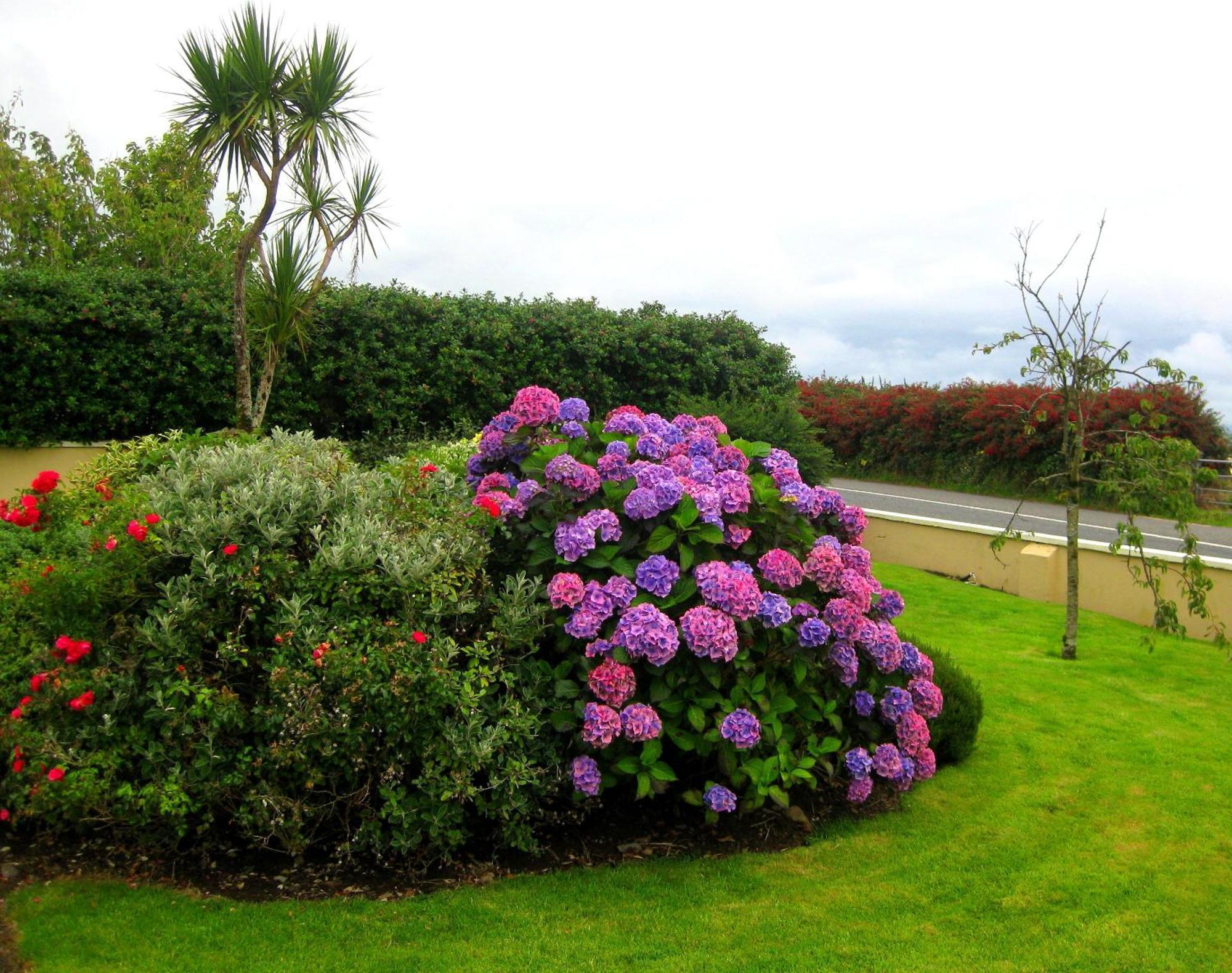 Cill Bhreac House B&B Dingle Exterior photo